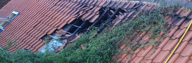 Roof crush accident
