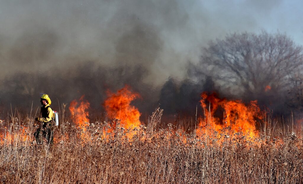 Couple Charged For California Wildfires Sparked During Gender Reveal Party 0099